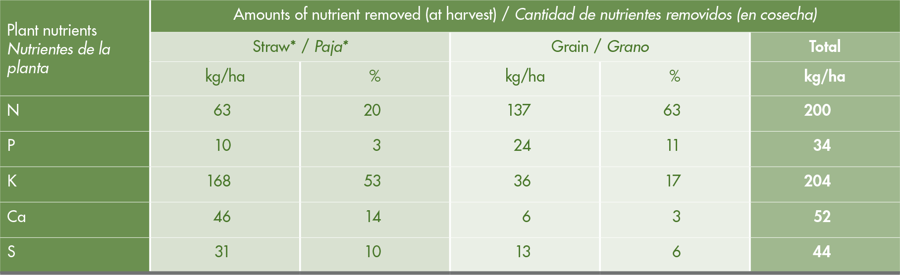 Rice phenological phases and their nutrition requirements SQM