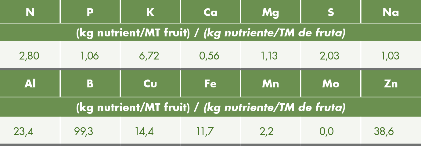 Nutriente Palto aguacate