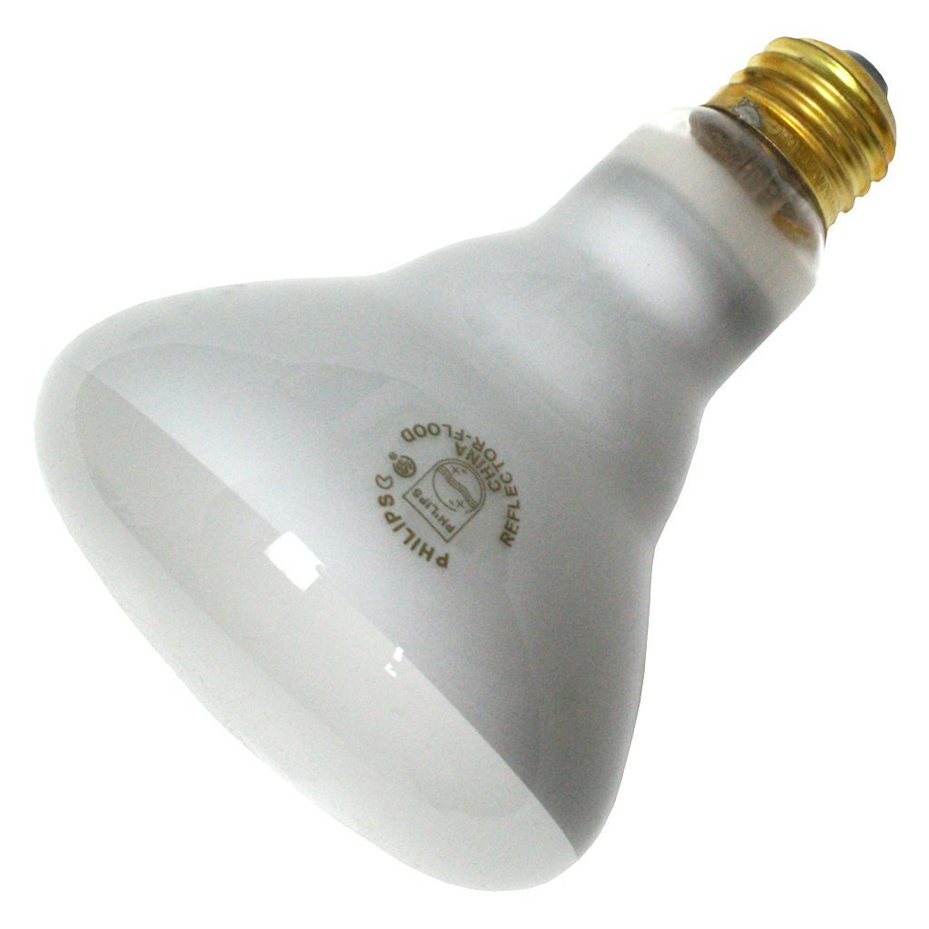 Philips 45-Watt R20 Incandescent DuraMax Dimmable Flood