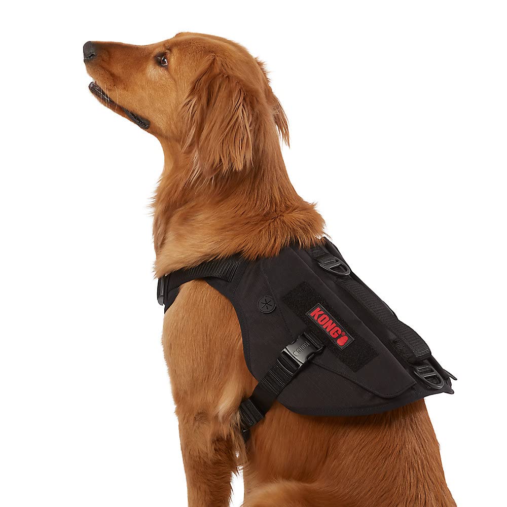 how to put on a kong dog harness
