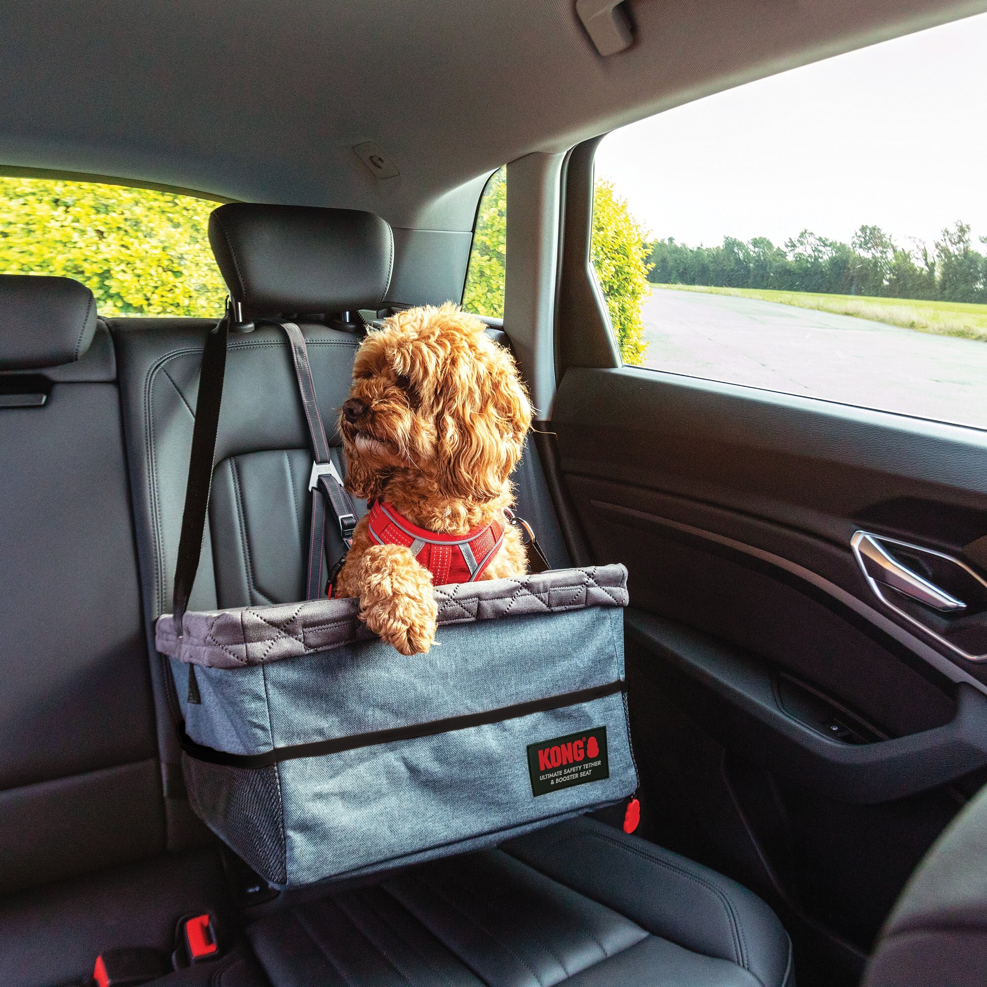 Kong - Brandclub - KONG Ultimate Safety Tether & Seat