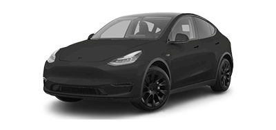 Tesla Y Cartoon Graphic