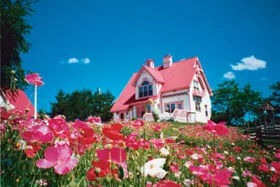 Cottage house plans 5-660 - front exterior, 2,098 sq ft, 3 bed, 1 bath house plans | Monster House Plans