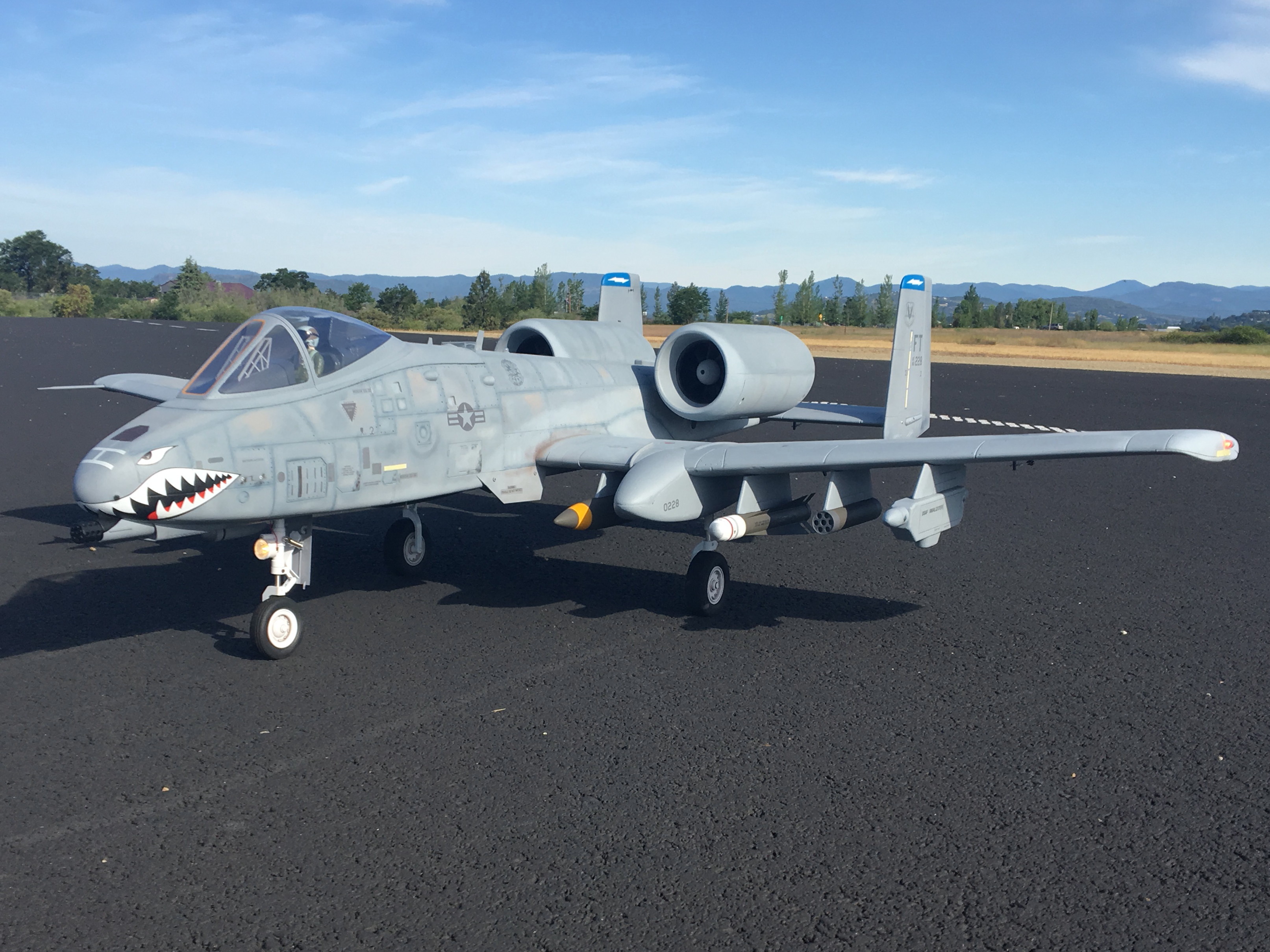 Freewing A10 Thunderbolt II Super Scale Twin 80mm EDF Jet PNP