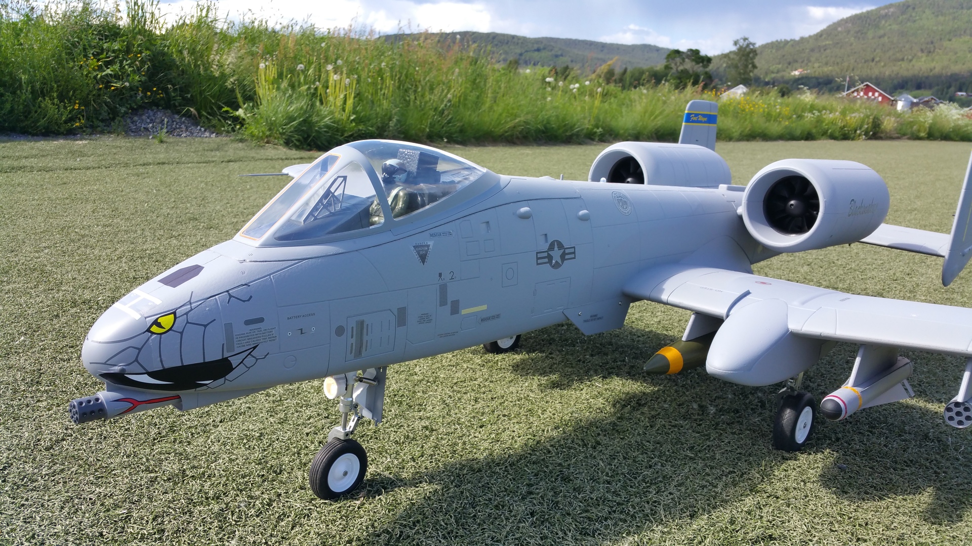 Freewing A10 Thunderbolt II Super Scale Twin 80mm EDF Jet PNP