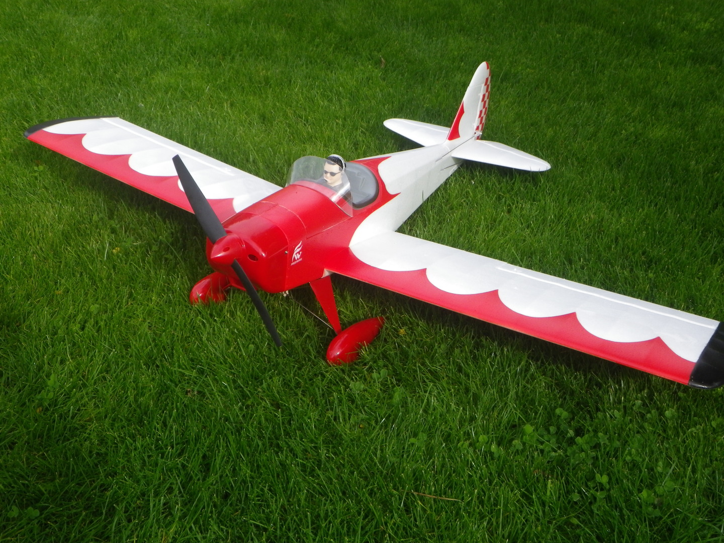 Freewing Space Walker ARF Electric RC Plane Motion RC