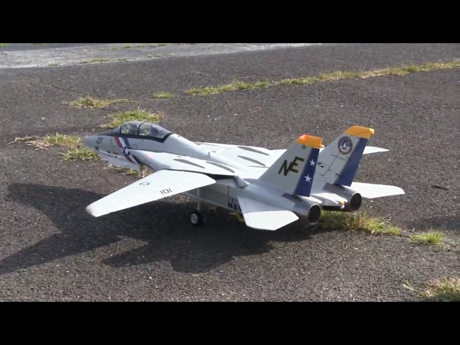 Freewing F14 Tomcat Twin 80mm EDF Jet PNP FJ30812P Motion