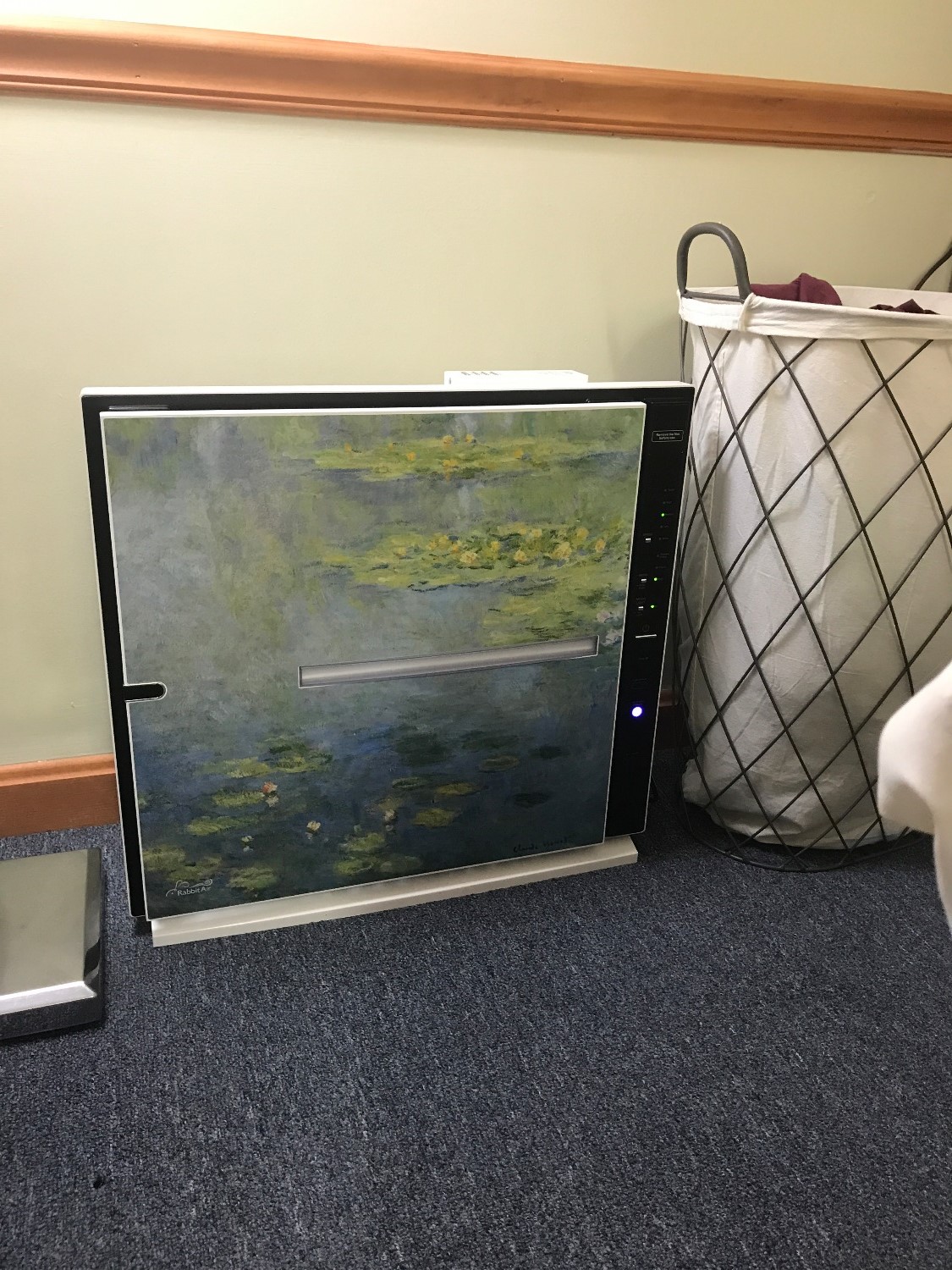 rabbit air wall mount