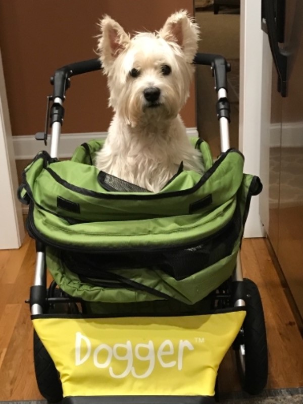 Dogger™ The SUV of Dog Strollers Dog Quality