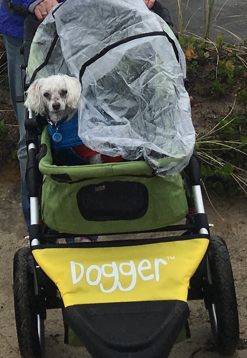 Dogger™ The SUV of Dog Strollers Dog Quality