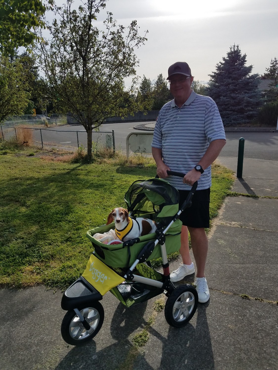 Dogger™ The SUV of Dog Strollers Dog Quality