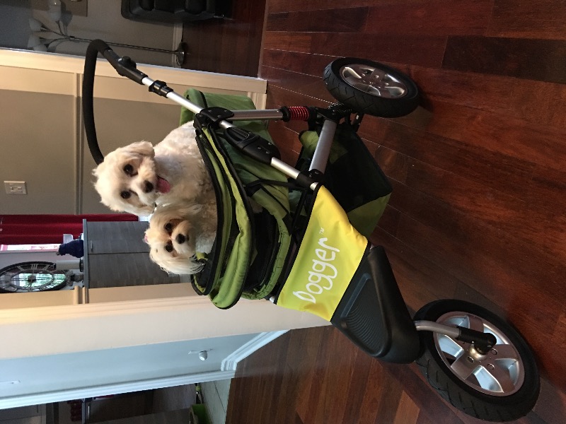 Dogger™ The SUV of Dog Strollers Dog Quality