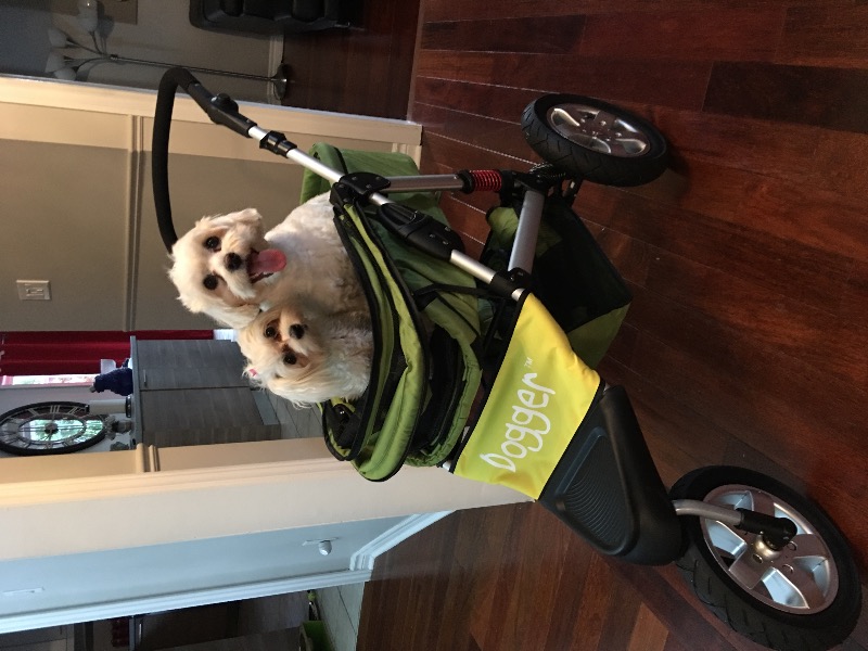Dogger™ The SUV of Dog Strollers Dog Quality