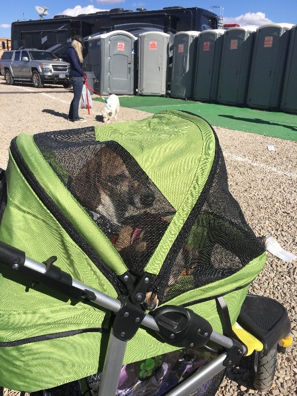 Dogger™ The SUV of Dog Strollers Dog Quality