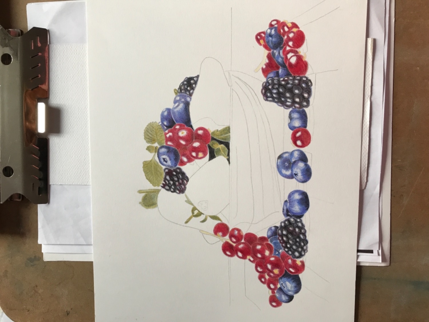 Color Ann Kullbergs Magazine For Colored Pencil Artists - 