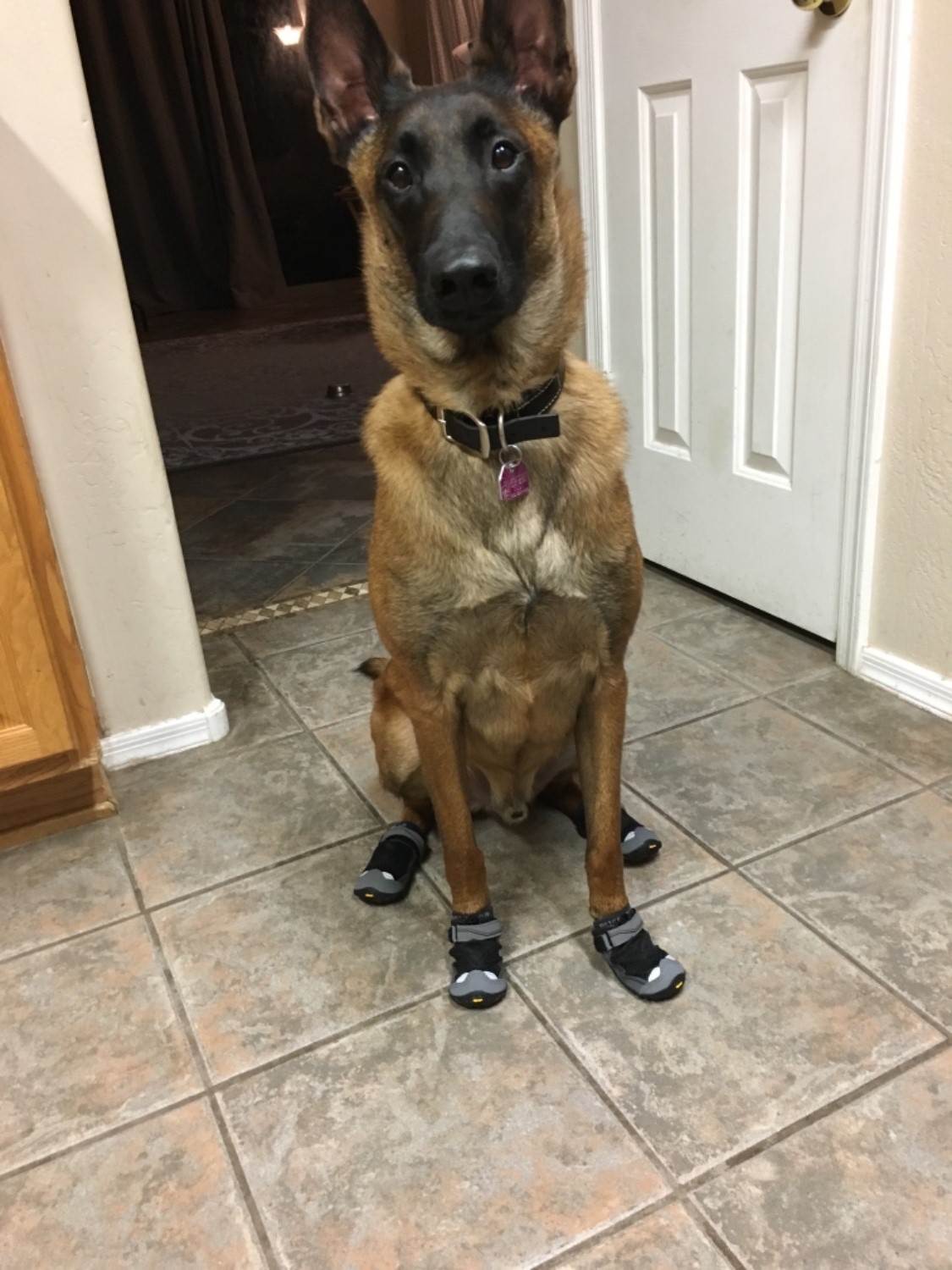 Grip Trex™ Dog Boots Durable AllTerrain Paw Protection Ruffwear