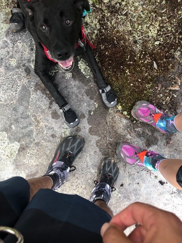 Grip Trex™ Dog Boots Durable AllTerrain Paw Protection Ruffwear