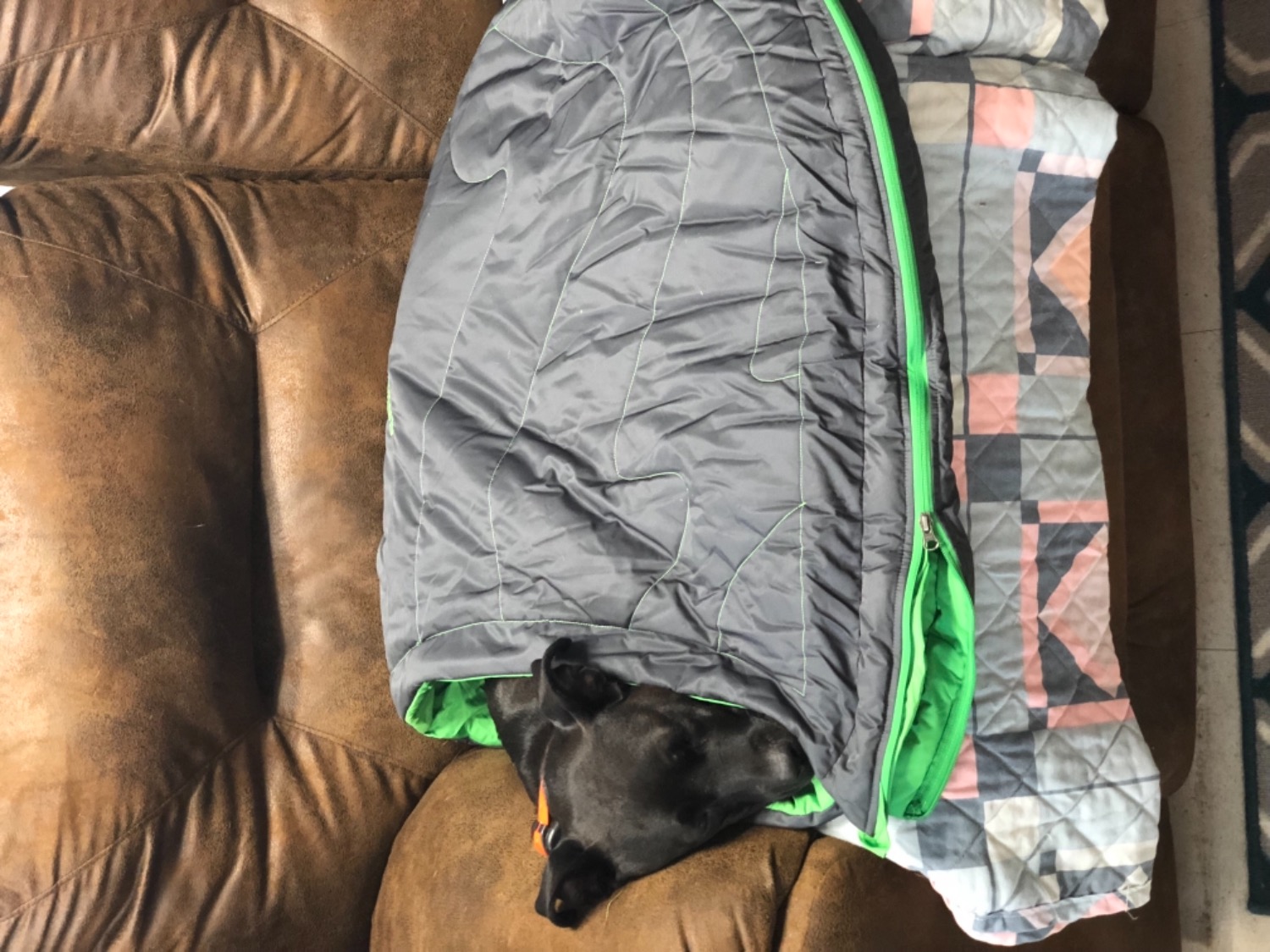 Highlands™ Sleeping Bag Insulated Warmth & Comfort For Dogs Ruffwear