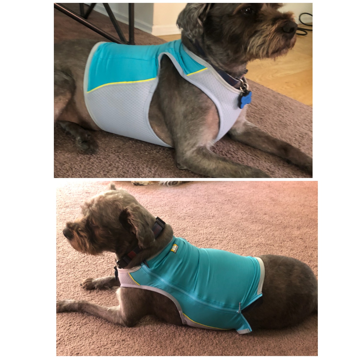 Jet Stream™ Cooling Vest Keeping your dog cool during summer Ruffwear