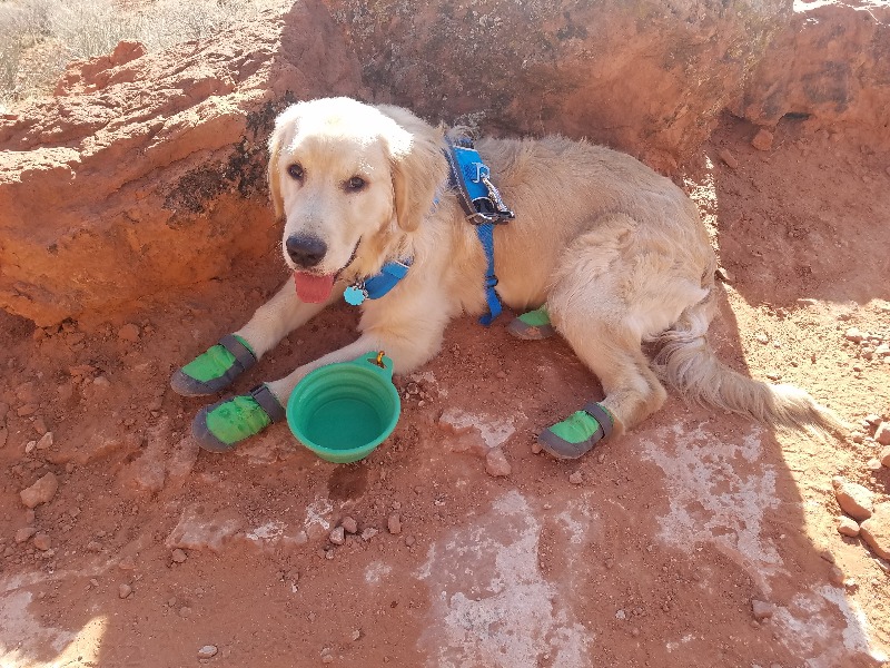 Summit Trex™ Dog Boot Pairs Everyday Paw Protection Ruffwear