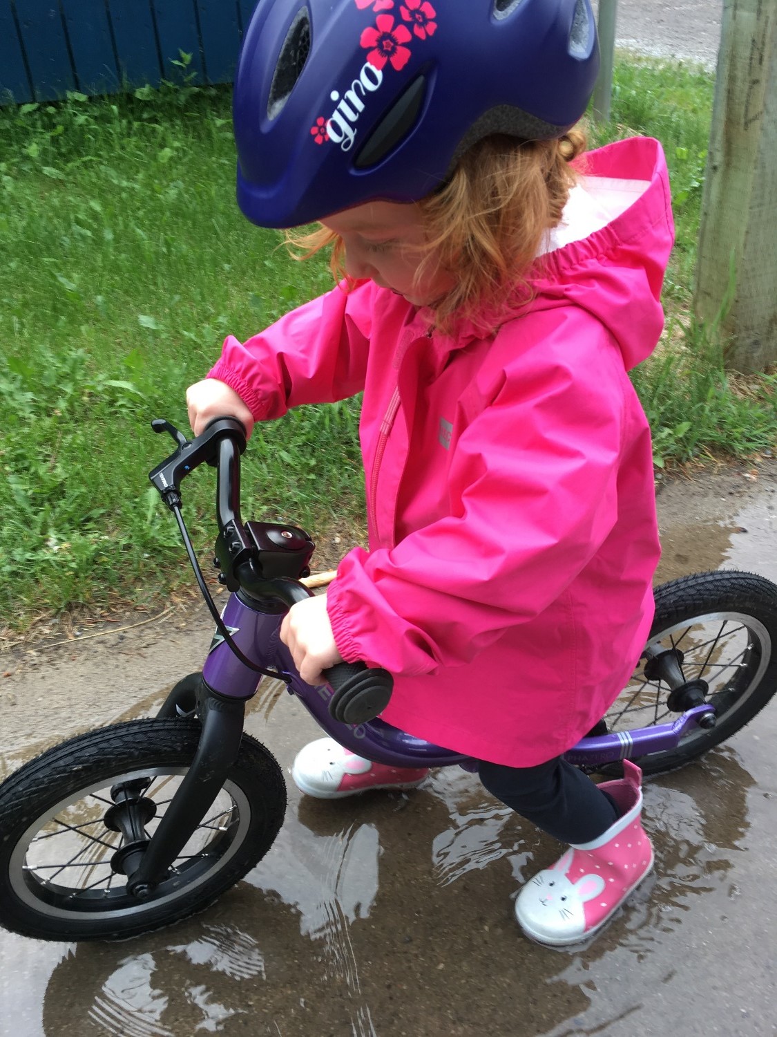 Prevelo Alpha Zero｜12" Balance Bike｜1½ years+｜No Pedals Prevelo Bikes