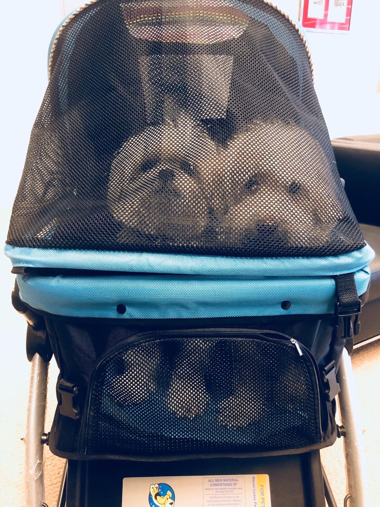 PET ROVER™ Premium Stroller for Small, Medium & Large Pets Blue HPZ