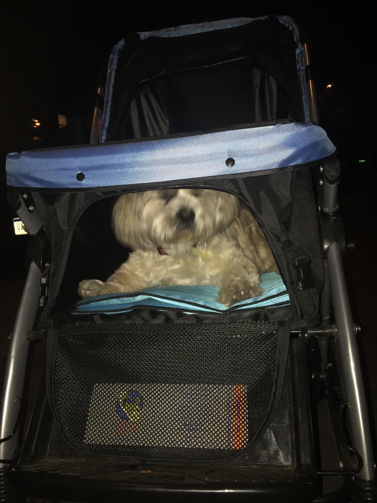 PET ROVER™ Premium Stroller for Small, Medium & Large Pets Blue HPZ