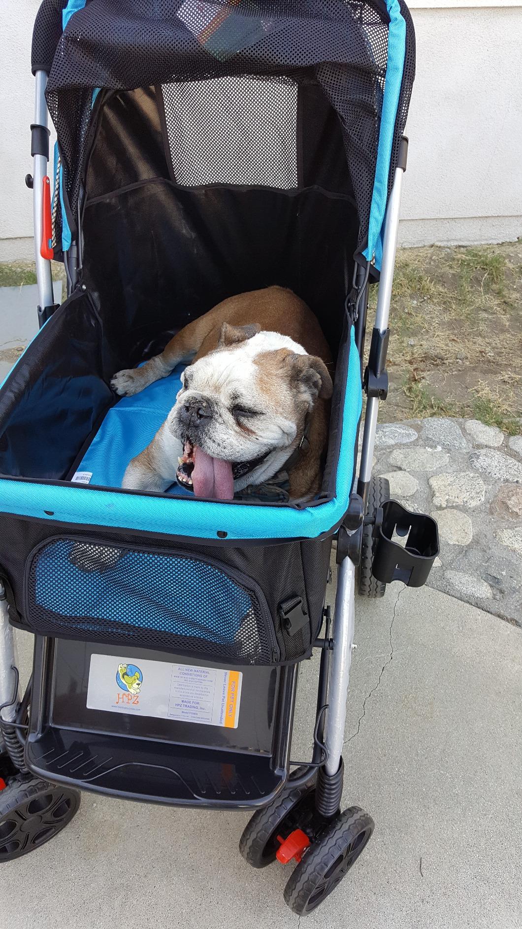 PET ROVER™ Premium Stroller for Small, Medium & Large Pets Blue HPZ