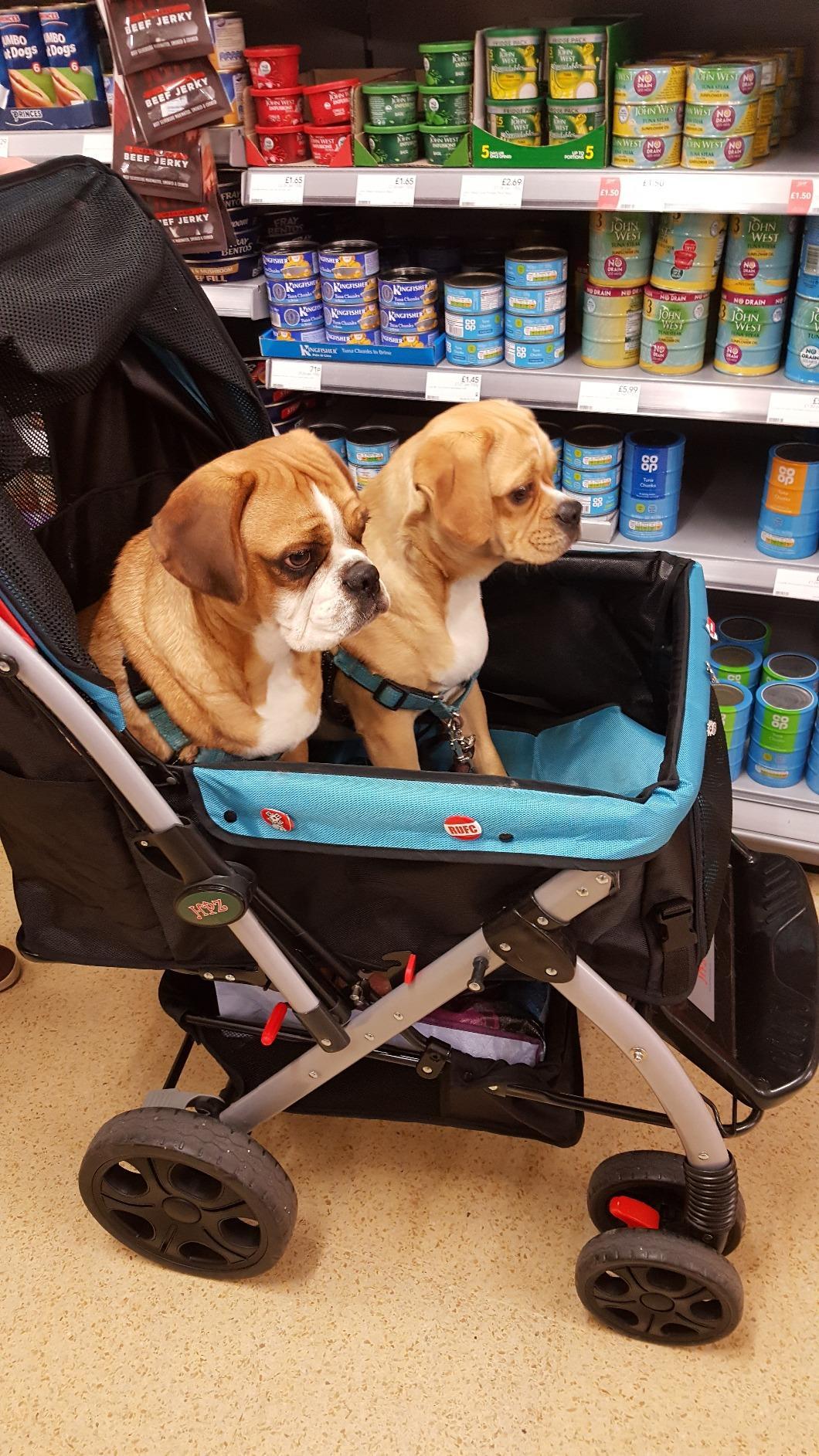 PET ROVER™ Premium Stroller for Small, Medium & Large Pets Blue HPZ