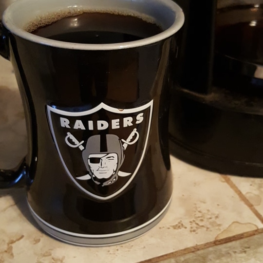 Oakland Raiders 3D Coffee Mug 14oz Sculpted Relief Fan Shop HQ