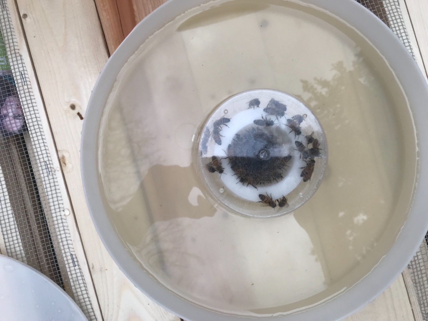 Round Hive Top Bee Feeder Bee Built