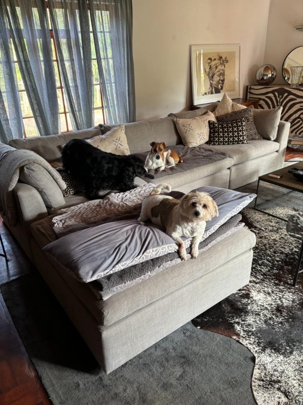 Couches for Sale South Africa Low Prices, Amazing Styles