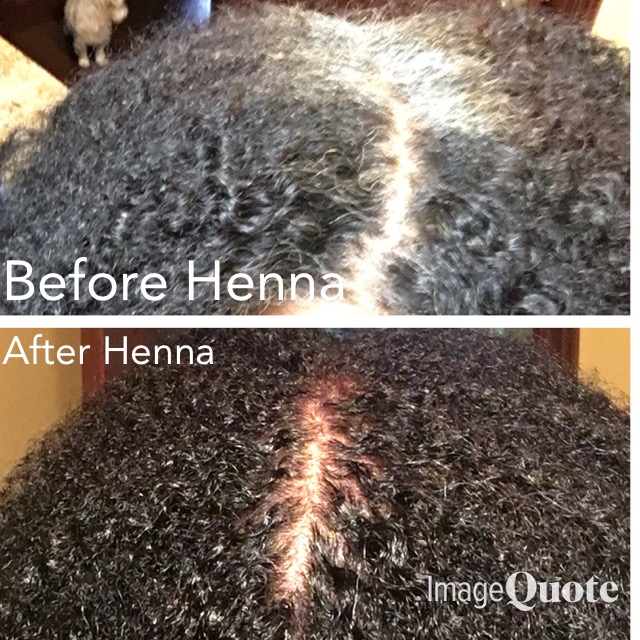 treasured locks gray away enhanced henna exclusive