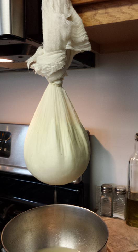 Chevre Starter Culture for Cheese Making How to Make Cheese