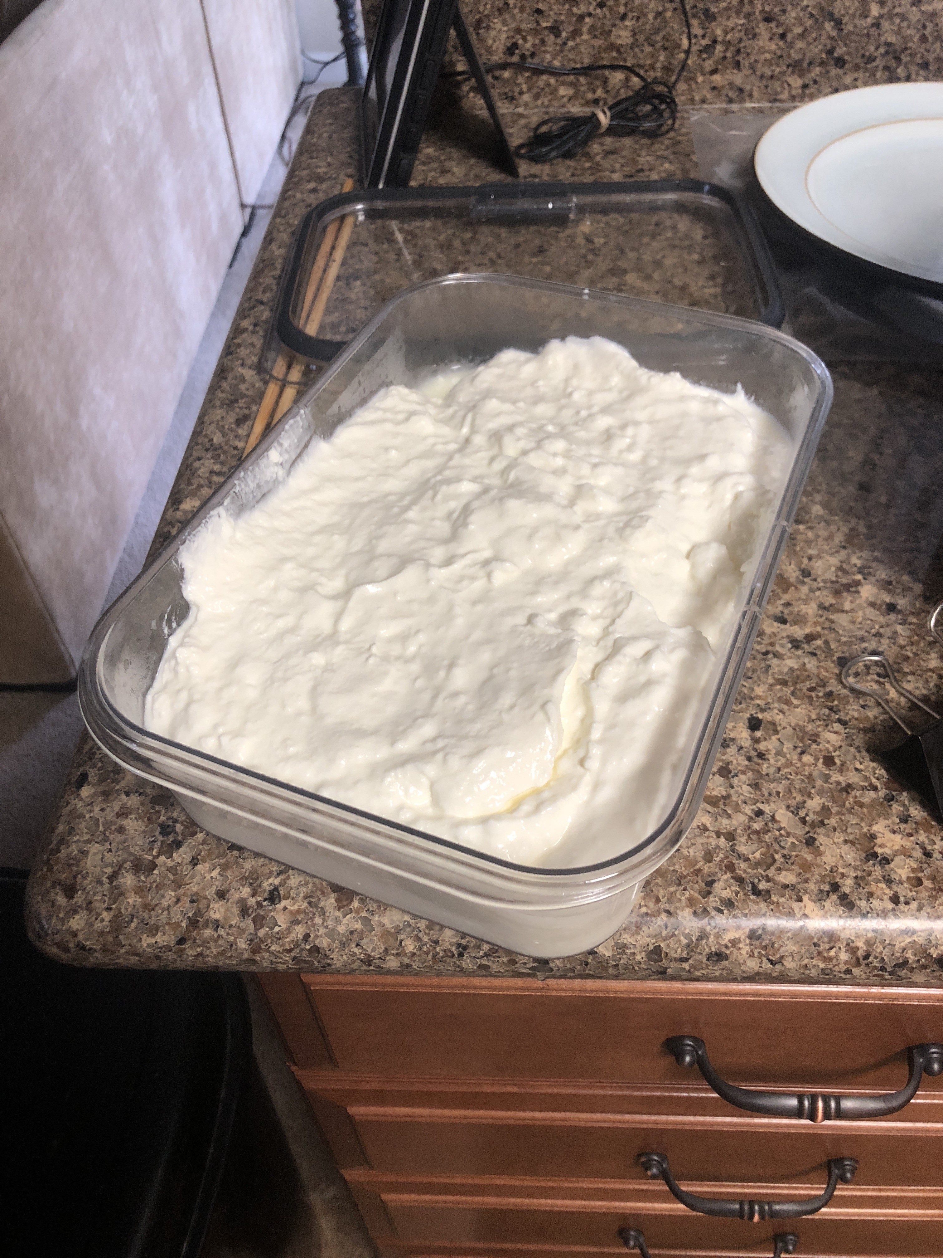 Yogurt Starter Culture (Creamy) How to Make Cheese