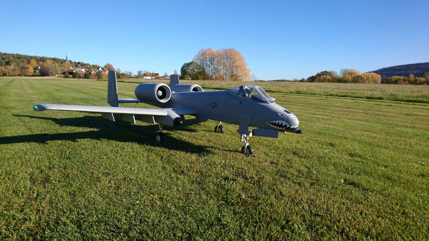 Freewing A10 Thunderbolt II Super Scale Twin 80mm EDF Jet PNP