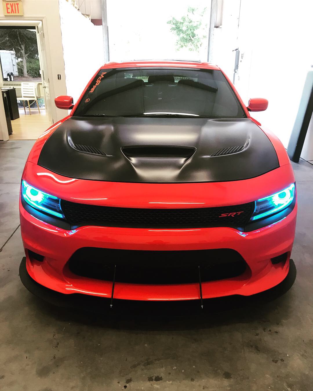 The Last Coat™ (TLC) Standalone Bottles (Ships 23 Day USPS Priority