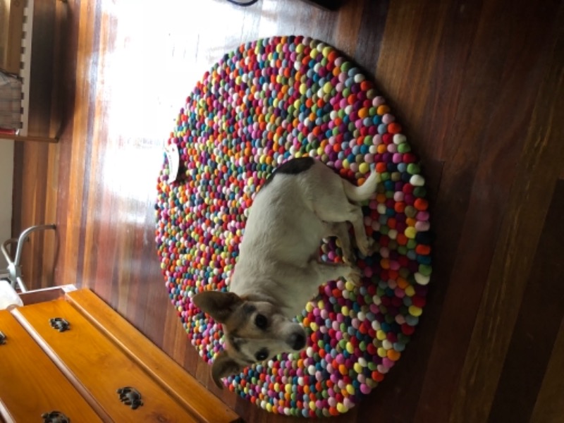  felt ball rug review