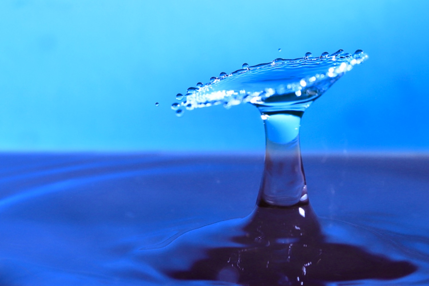 pluto valve for water drop photography pluto trigger water drops photography