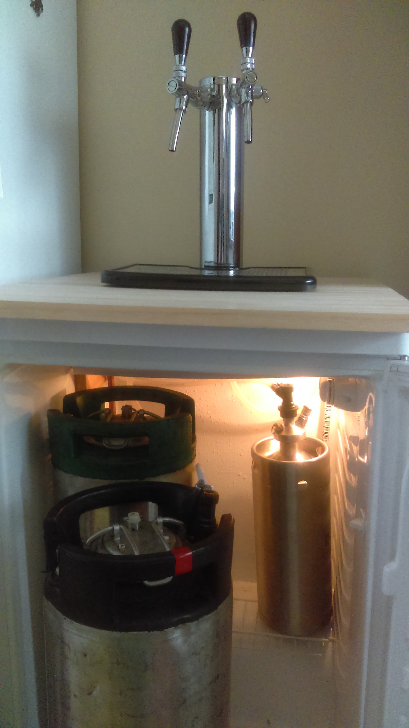 Homebrew Kegging System with optional CO2 Beer Tap Package