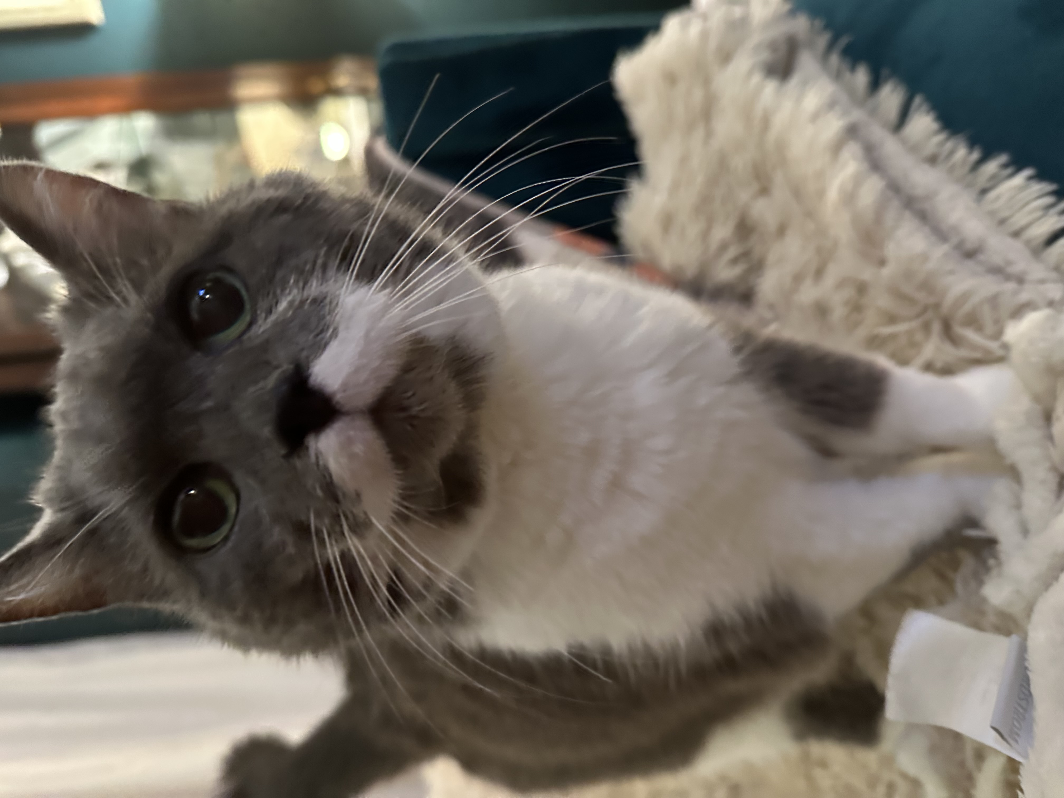 Icicles Transformation