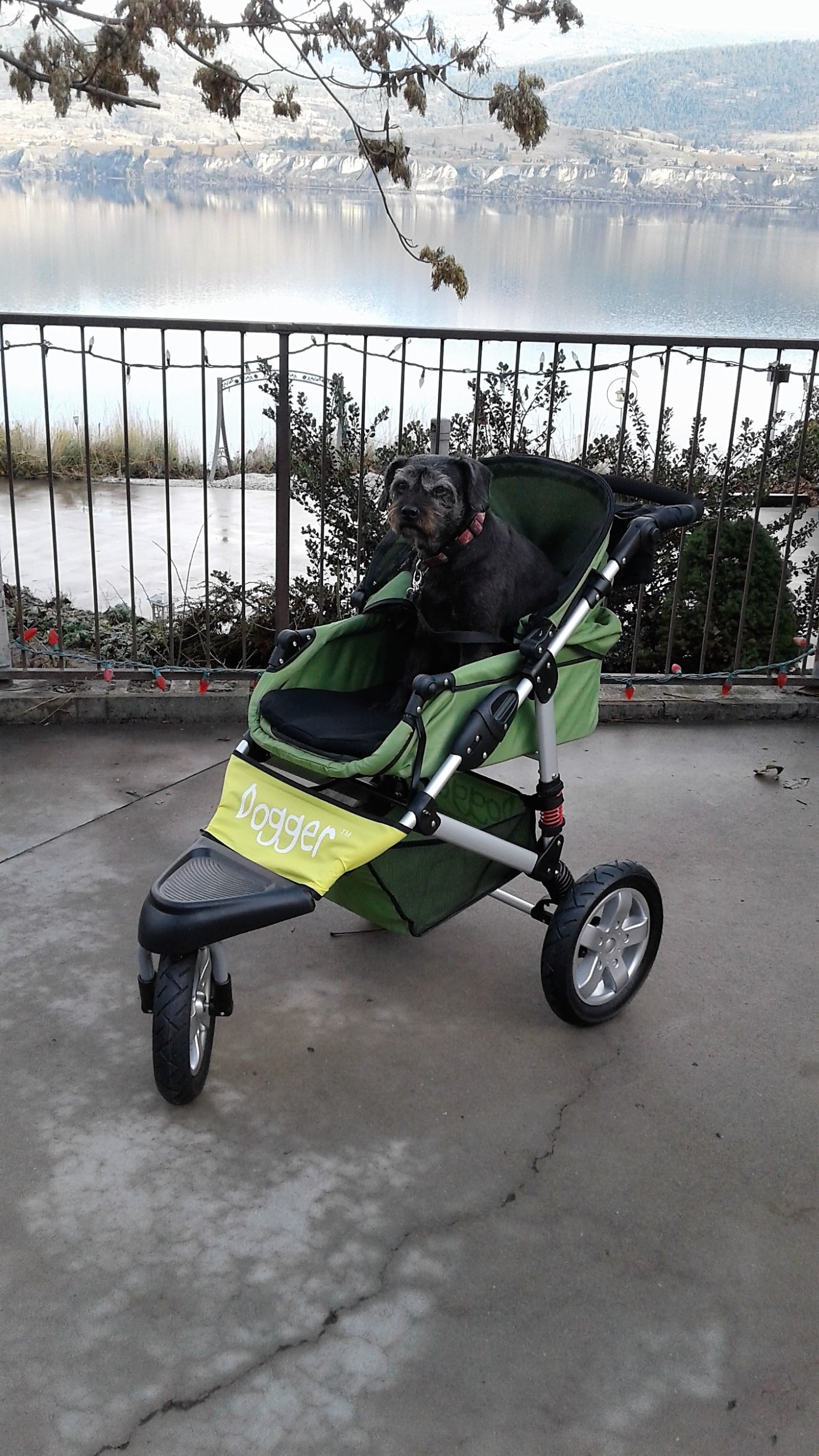 Dogger™ The SUV of Dog Strollers Dog Quality