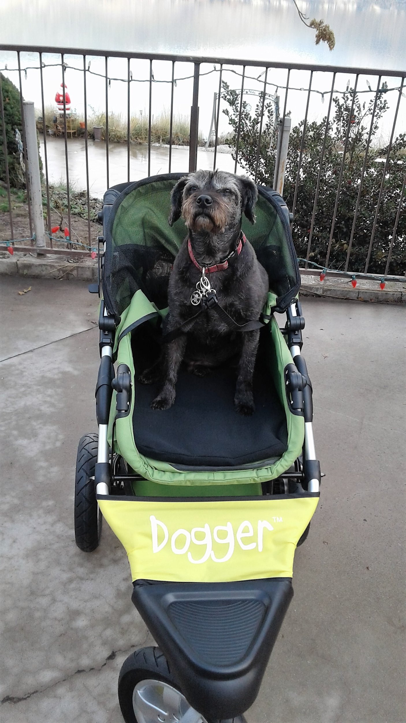Dogger™ The SUV of Dog Strollers Dog Quality