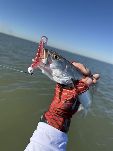 Speckled Trout Best Saltwater Fishing Spoons Sea Trout Lures Best
