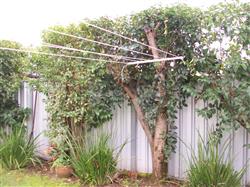 Edward D. verified customer review of Austral Retractaway 50 Clothesline