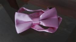 Jake Miguez verified customer review of PROLOSO 20pcs Baby Gender Reveal Bowties for Baby Shower - Pink and Blue Boy or Girl Party Best Choice