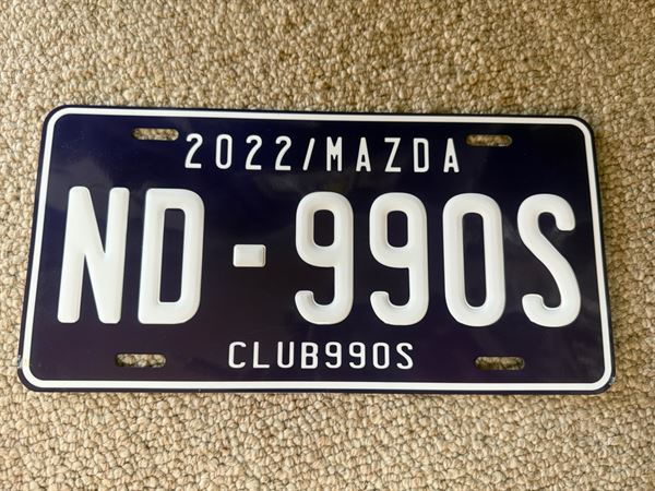 大・US車用】ニューメキシコ/オリジナルアメリカエンボスナンバー