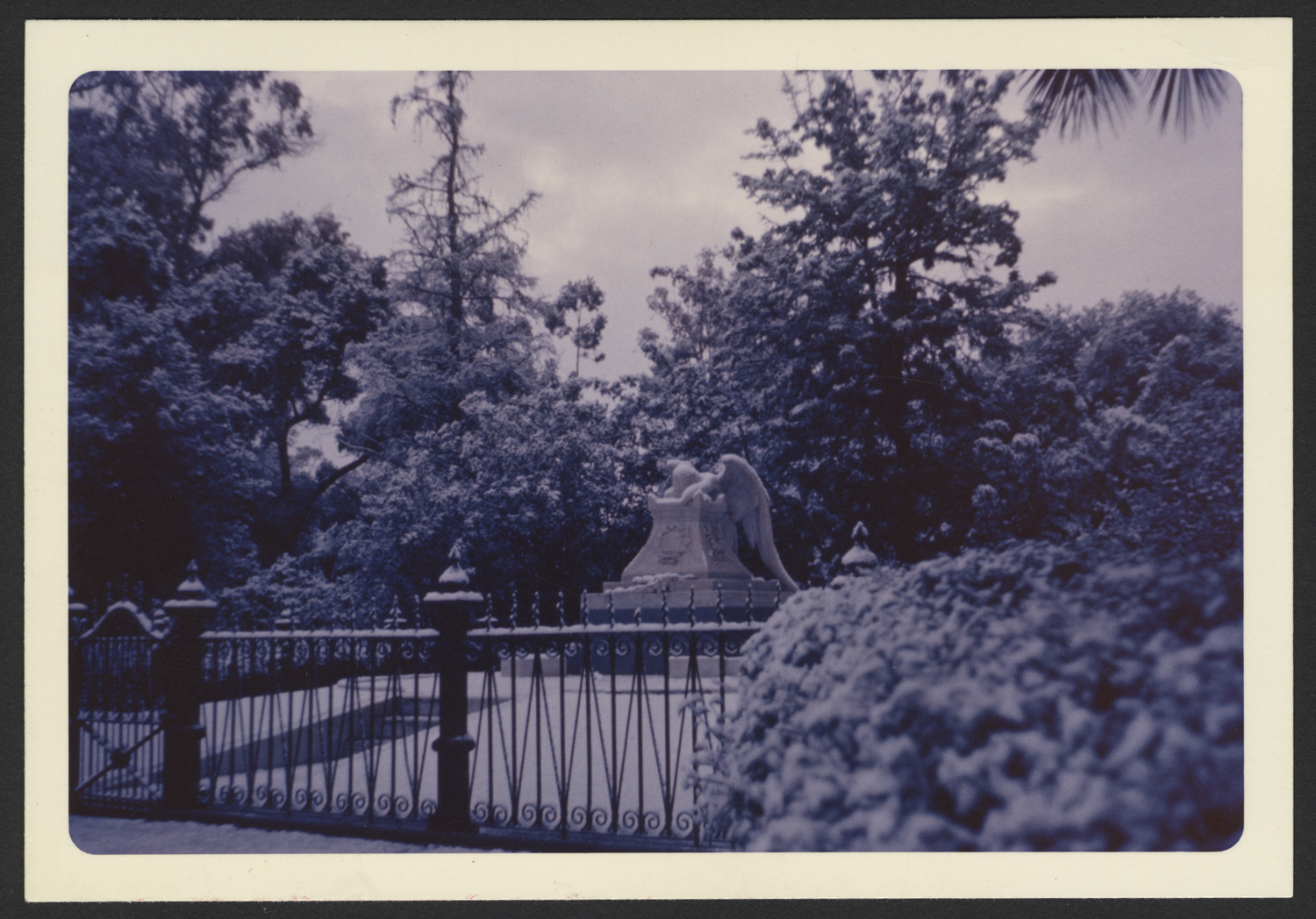 The Angel of Grief, Jane Stanford's memorial to her brother Henry Clay Lathrop, seems unusually burdened in this undated photo from one of Stanford's rare snowfalls.