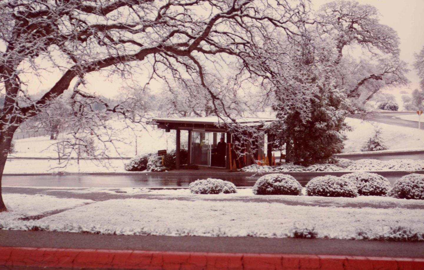 Hail, Stanford, Hail! When extreme weather hits the Farm Stanford 125