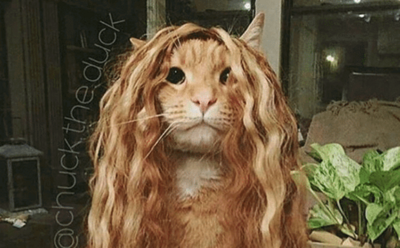 Extensions